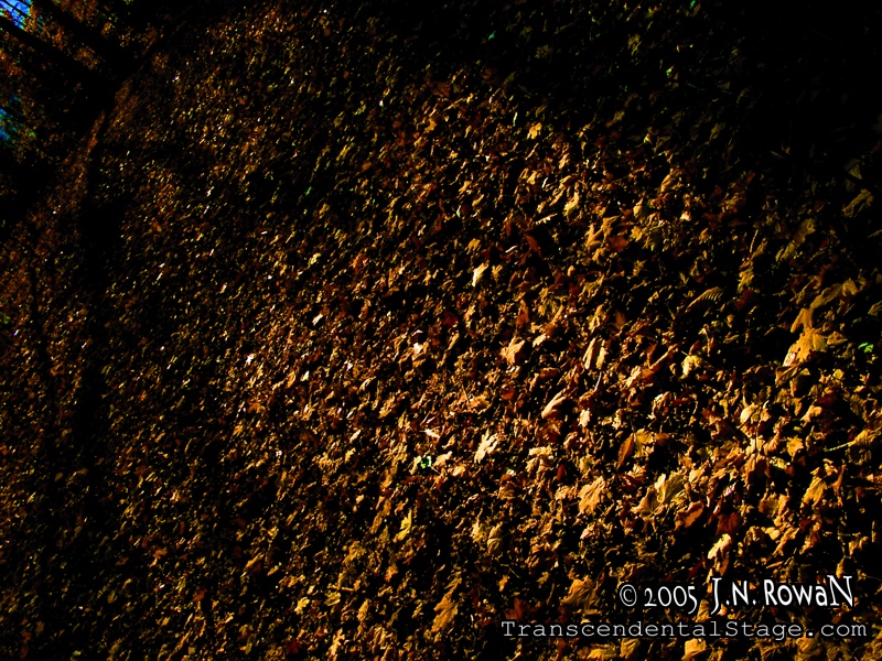 Leaves at the End #3