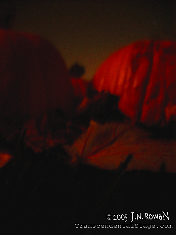 Pumpkin Night #7